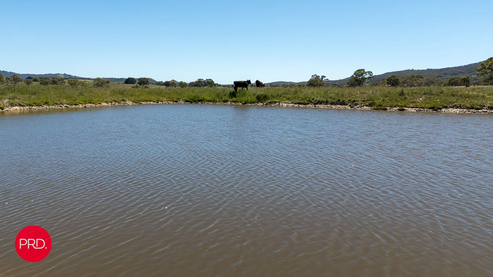 Additional image 14 of 2287 Bungendore Road, Tarago NSW 2580