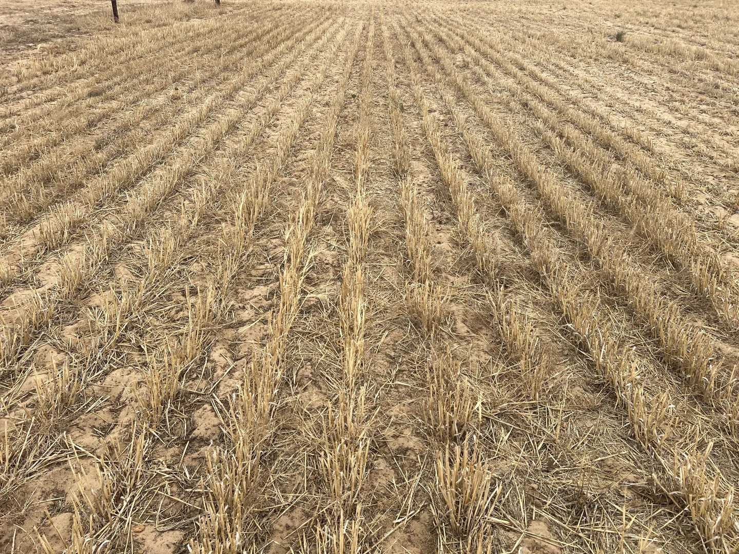 Additional image 4 of 183 Kulkawurra Road, Karoonda SA 5307