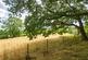 Additional image 22 of Pound Lane, Romsey SO51