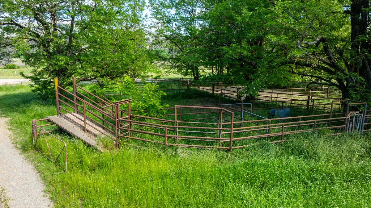 Additional image 18 of 1279 Edi-Cheshunt Road, Whitfield VIC 3733