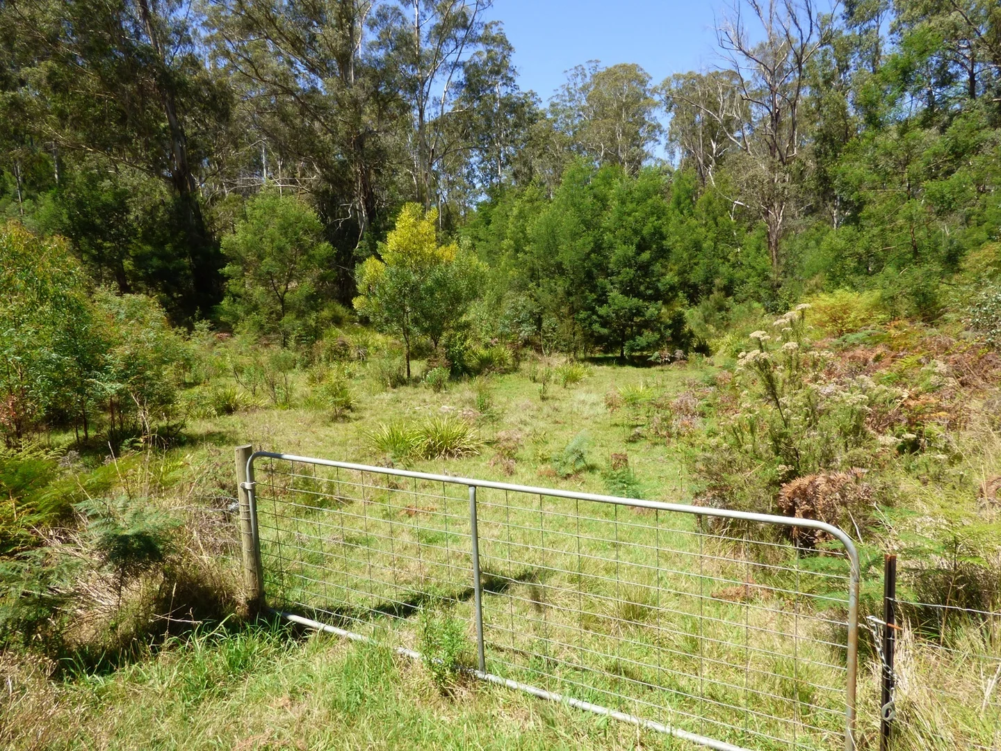 Additional image 11 of 463 Towamba Rd, NULLICA Via, Eden NSW 2551