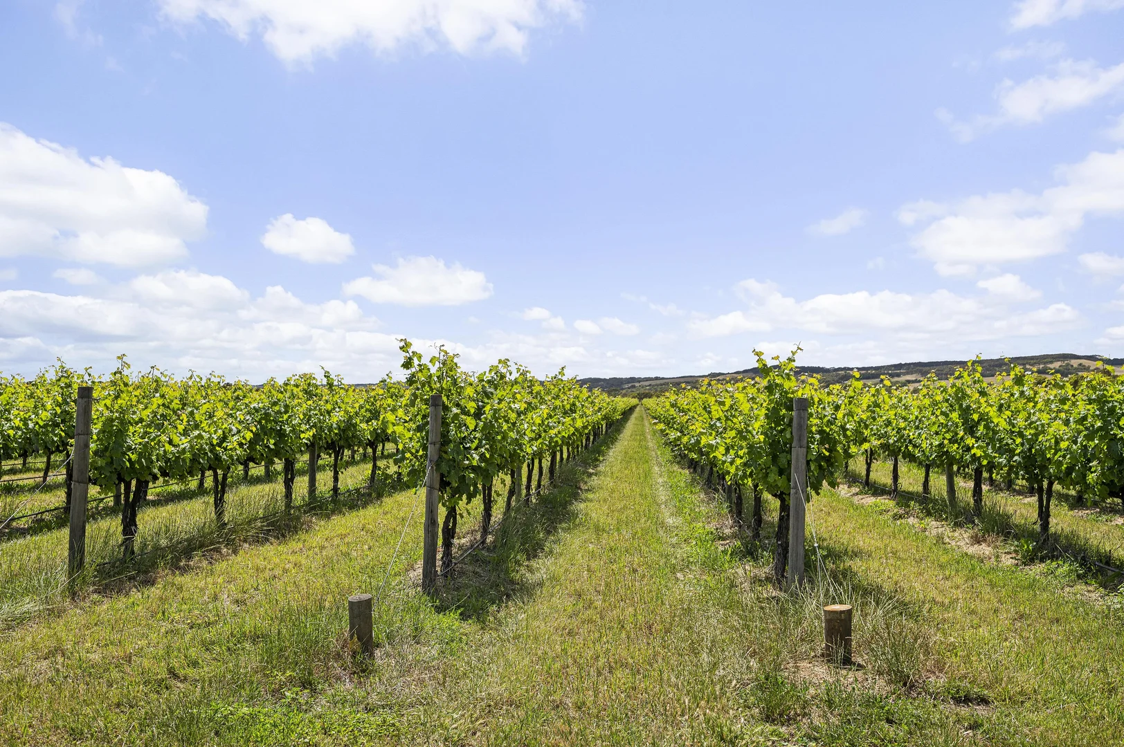 Additional image 7 of 185 Ryan Road, Sellicks Hill SA 5174