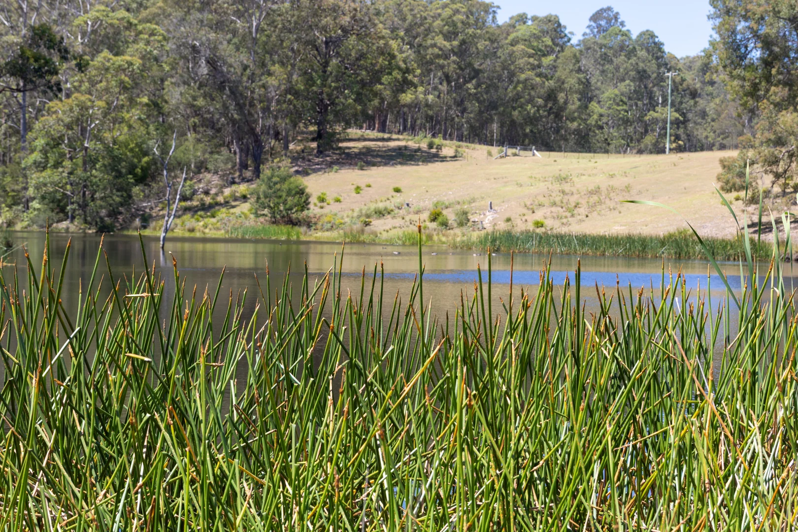 Additional image 25 of 336 Westrops Road, Coolagolite NSW 2550