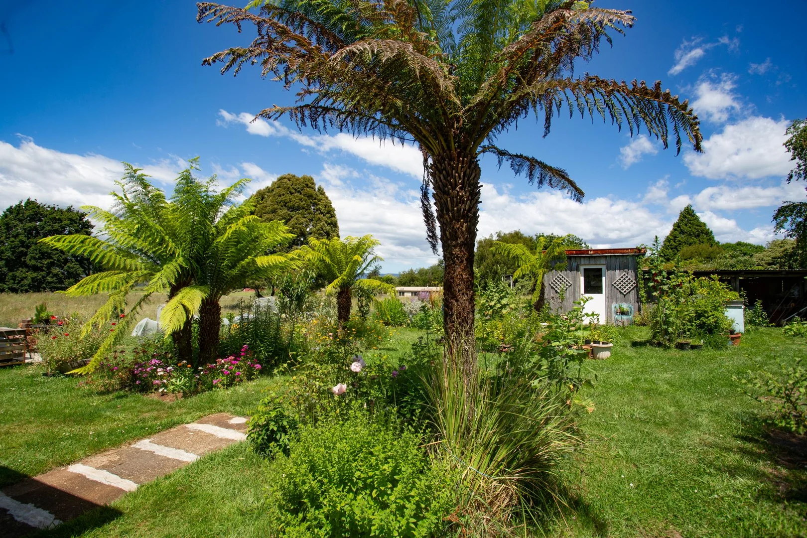 Additional image 25 of 21 Carisbrook Lane, Legerwood TAS 7263