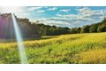 Additional image 16 of 415 Grimm Rd, Congerville, IL, 61729