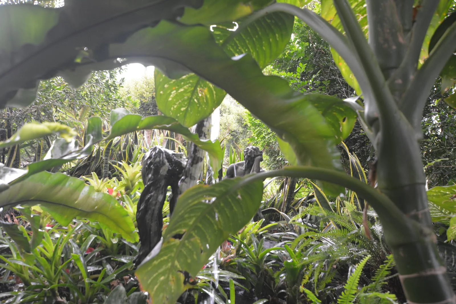 Additional image 9 of 20 Russell Road, Lake Eacham QLD 4884