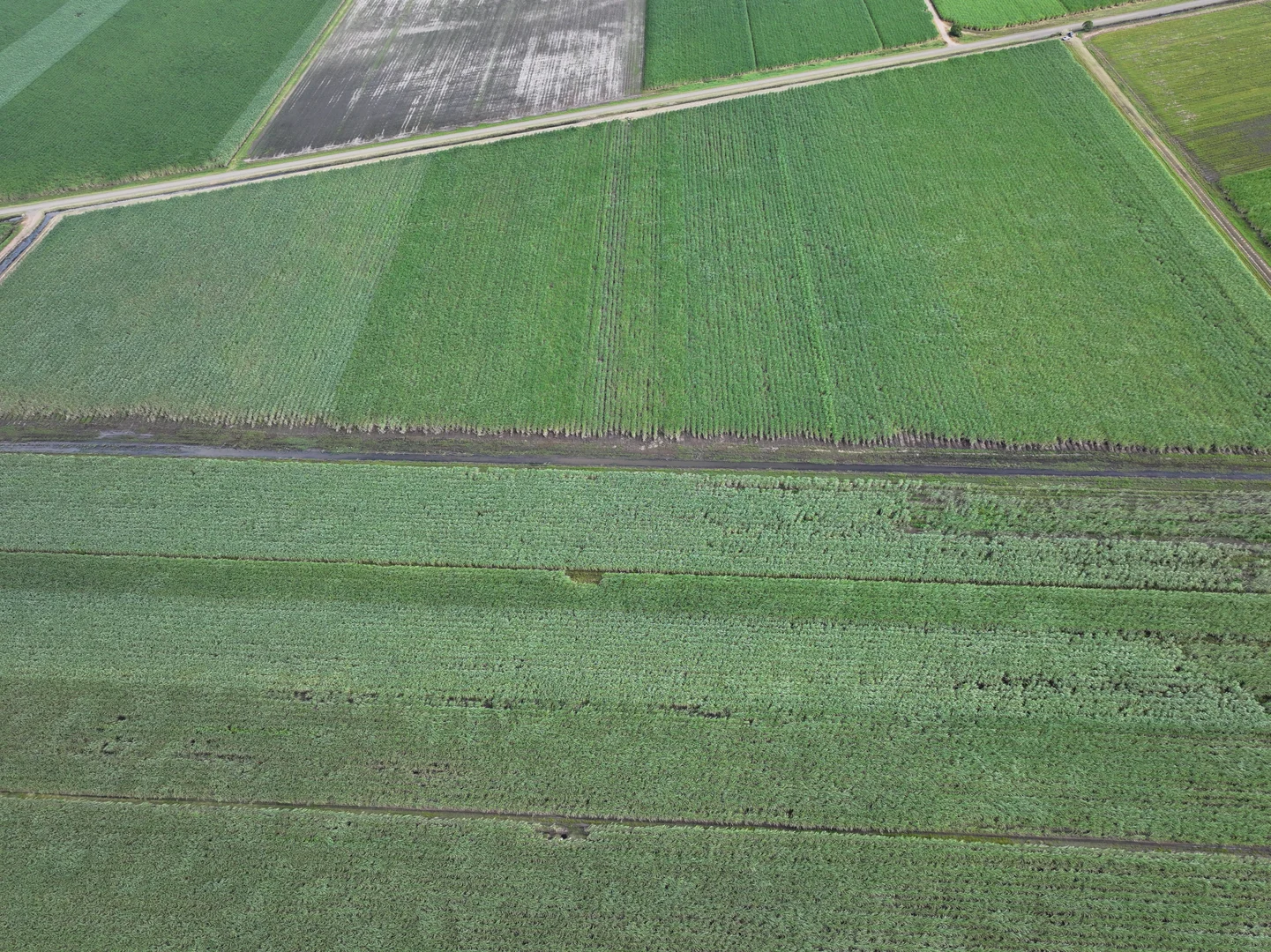 Additional image 5 of Lot 4 Wandarra Road, Foxdale QLD 4800