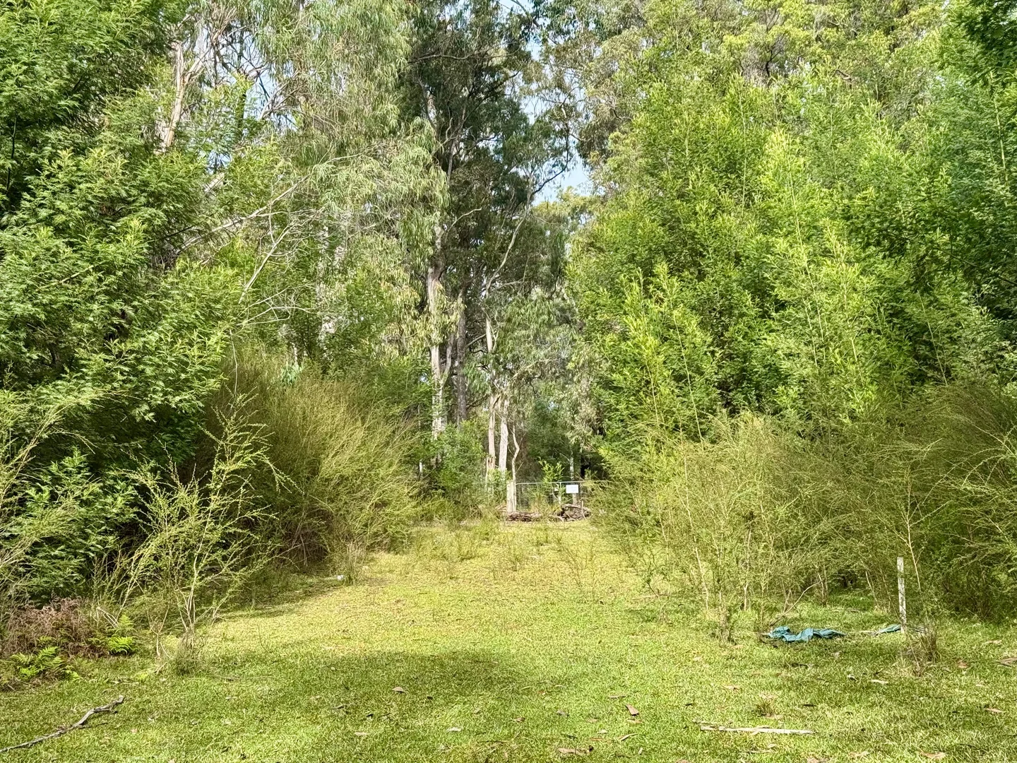 Additional image 2 of Lot 1 & 2 Maxwells Road, Nadgee NSW 2551