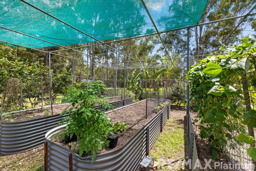 Additional image 21 of 54-56 Sir Dapper Drive, Burpengary QLD 4505