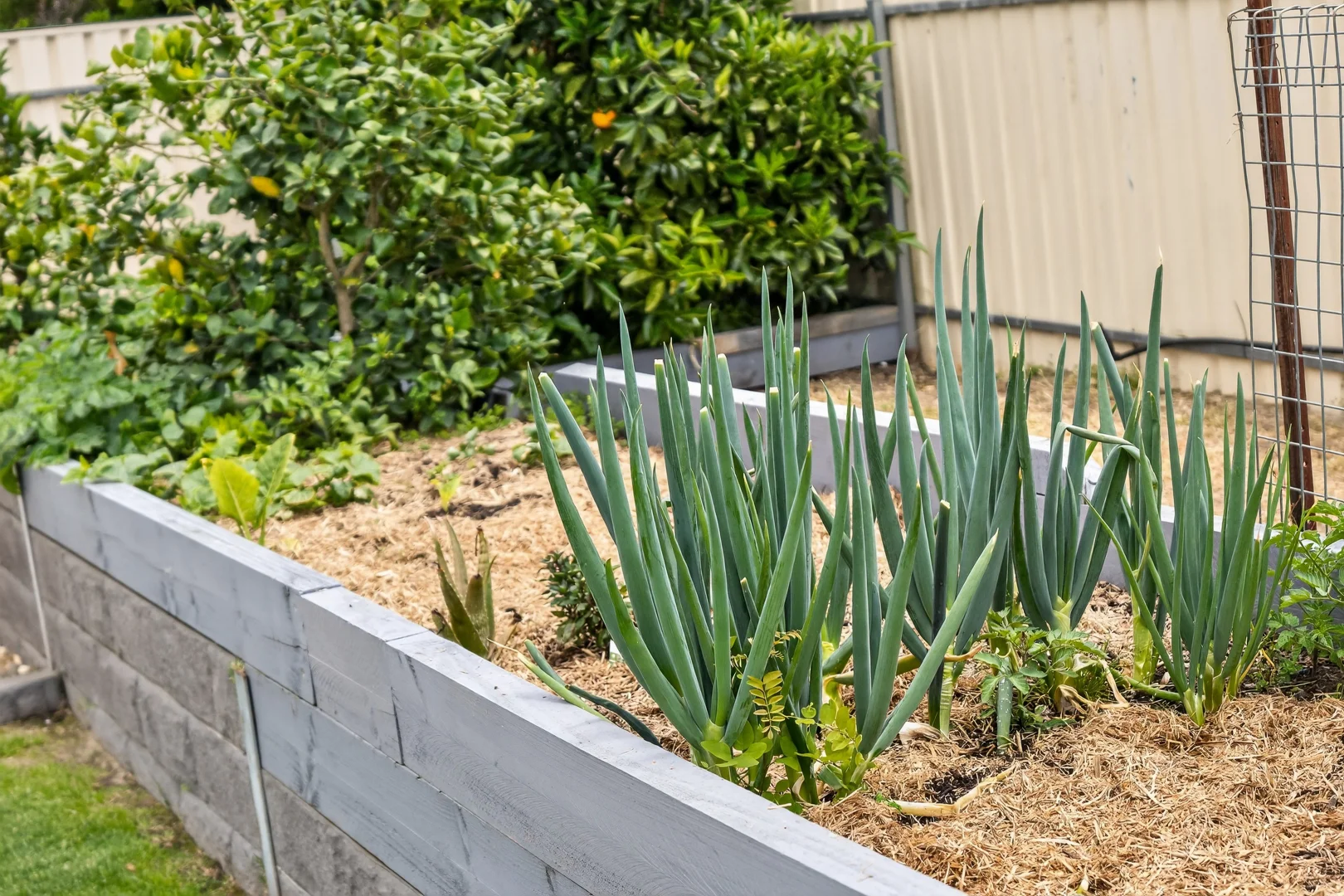 Additional image 24 of 45 George Francis Drive, Mount Compass SA 5210