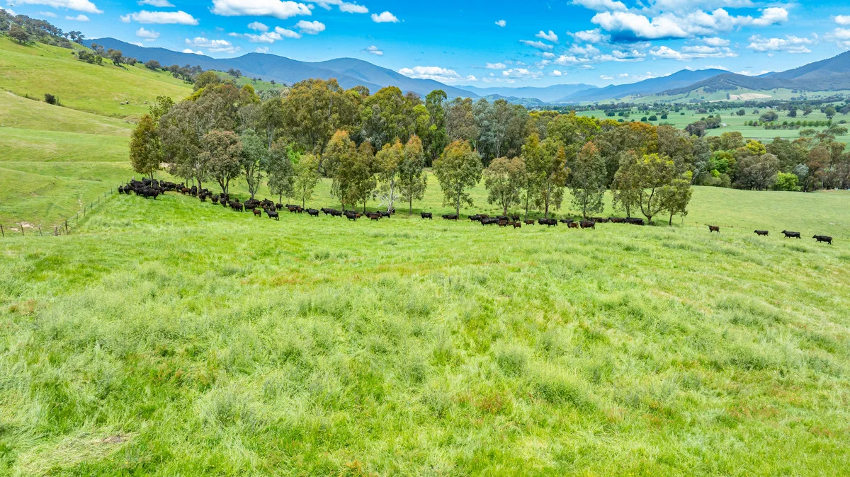 Additional image 2 of Swamp Lane, Dederang VIC 3691