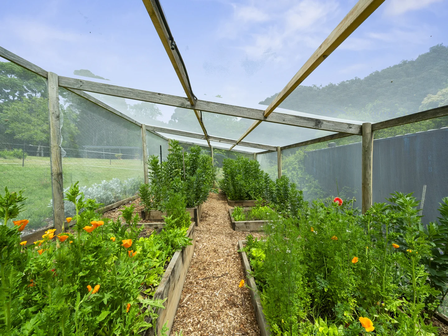 Additional image 15 of 4124 Mansfield-Woods Point Road, Jamieson VIC 3723