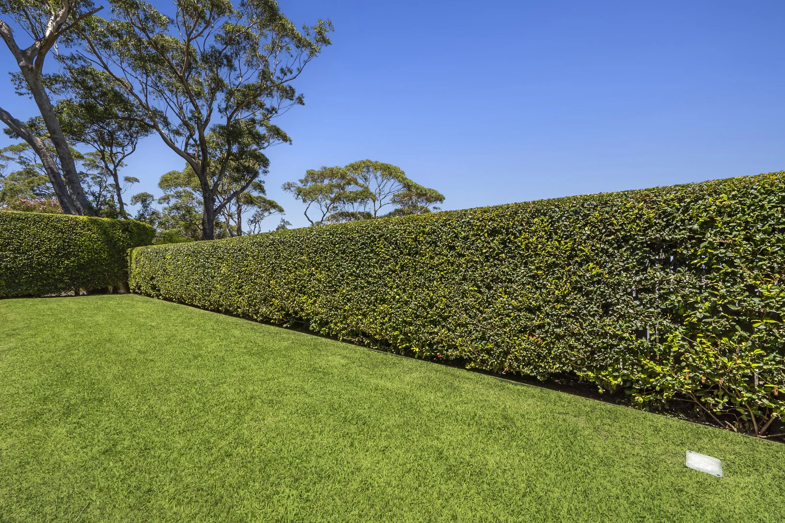 Additional image 3 of 39 Raymond Road, Bilgola Plateau NSW 2107