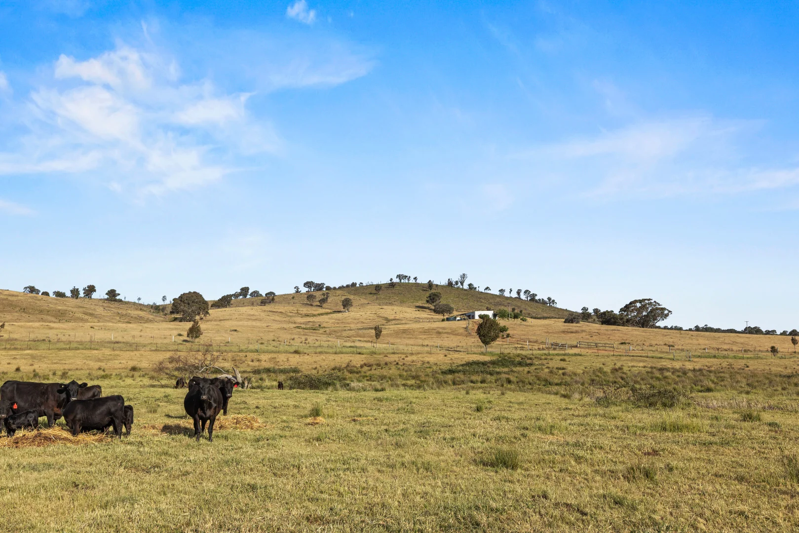 Additional image 12 of Lot 38 Gentle Destiny Road, Boorowa NSW 2586
