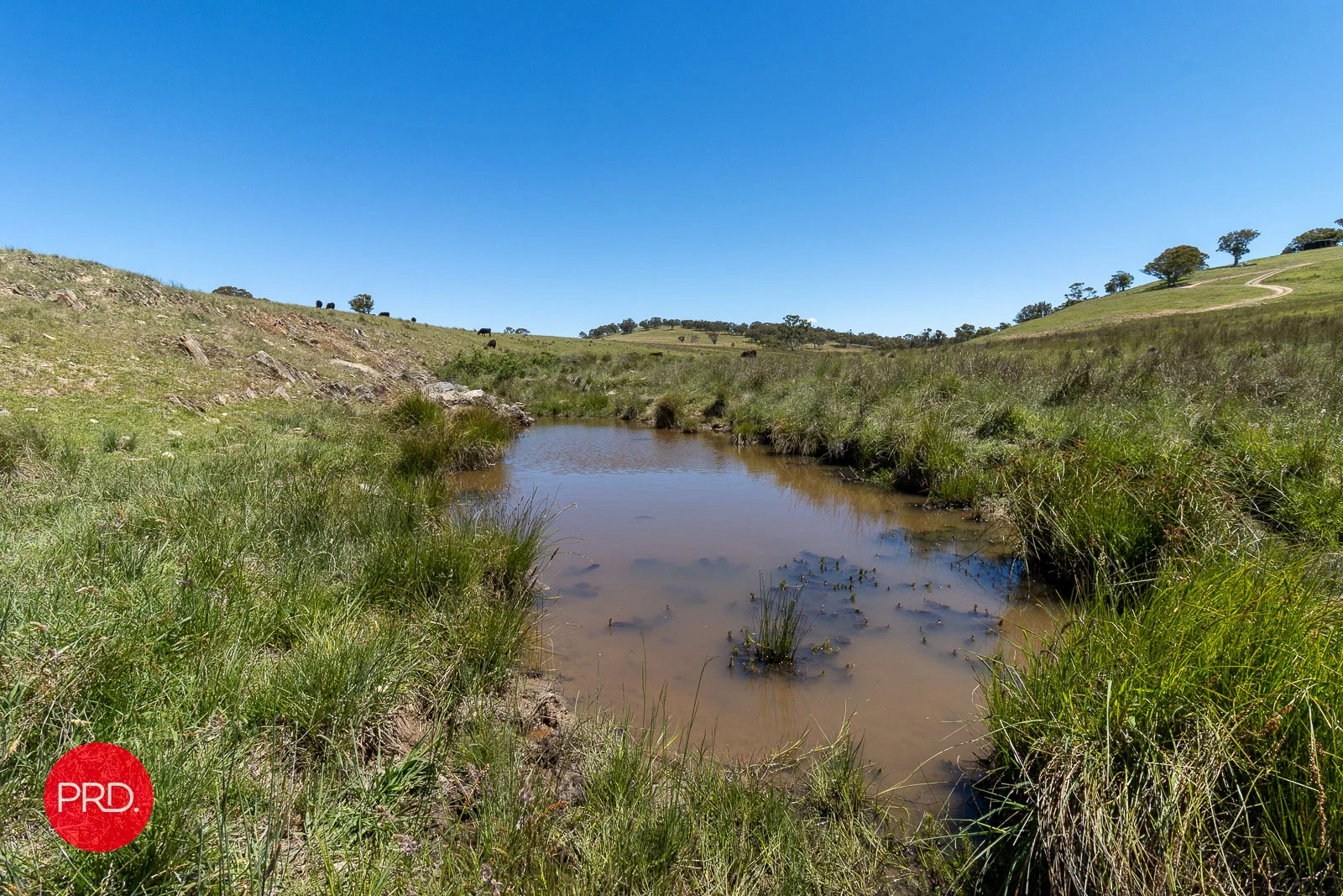 Additional image 27 of 2287 Bungendore Road, Tarago NSW 2580