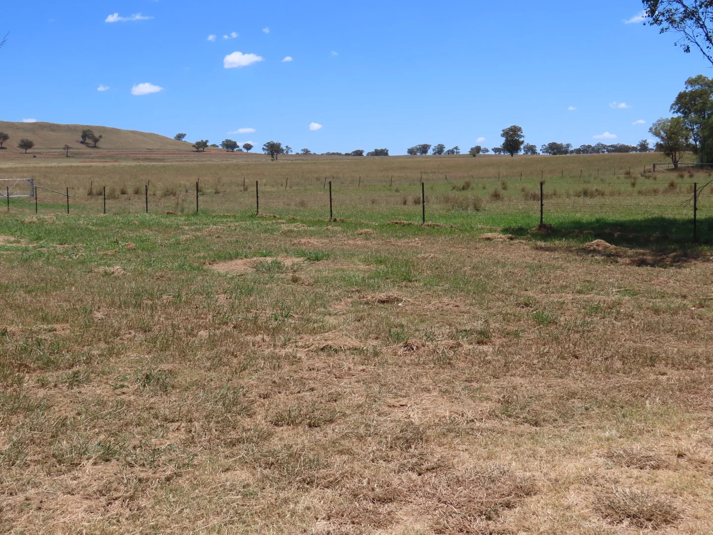 Additional image 7 of "Wattle-wee-doo" 14213 New England HWY, Timbumburi NSW 2340