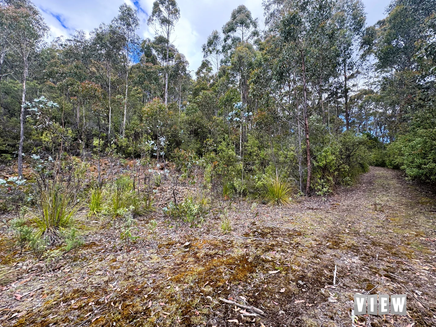 Additional image 6 of 520 German Town Road, St Marys TAS 7215