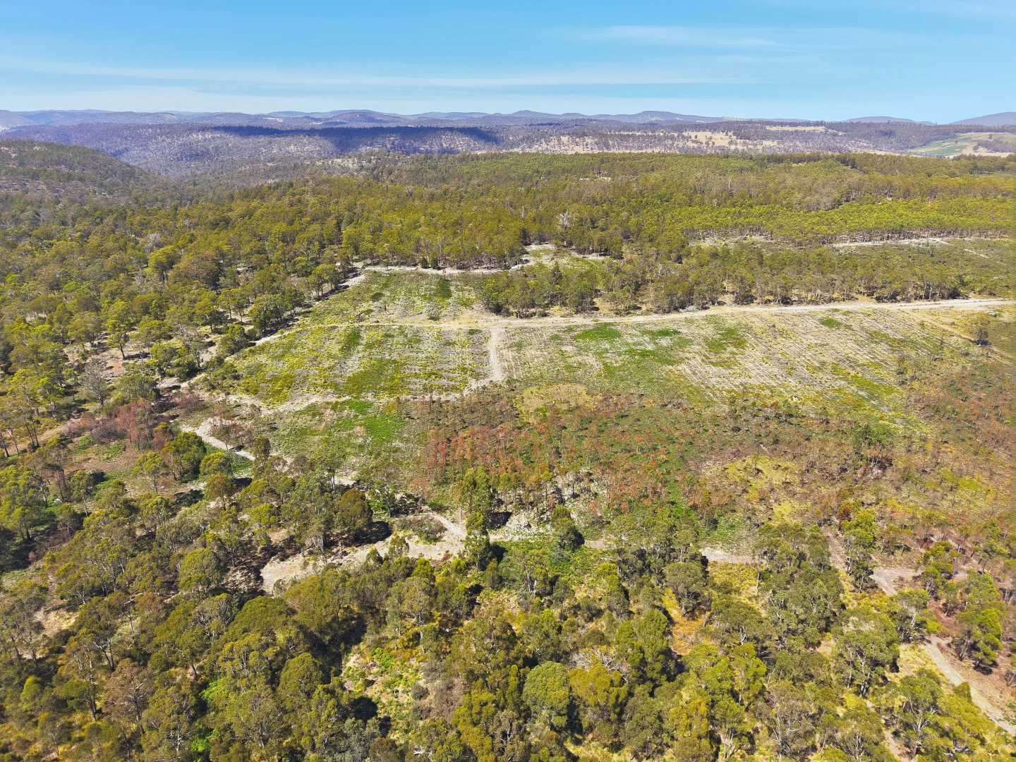 Additional image 5 of 422 Levendale Back Road, Levendale TAS 7120