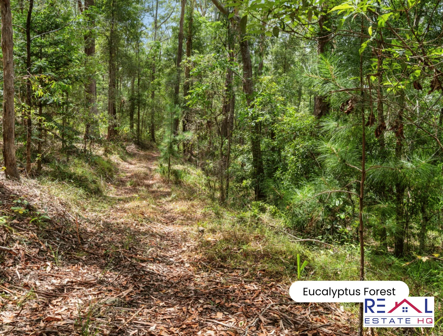 Additional image 32 of 45 Hatfield Road, Eerwah Vale QLD 4562
