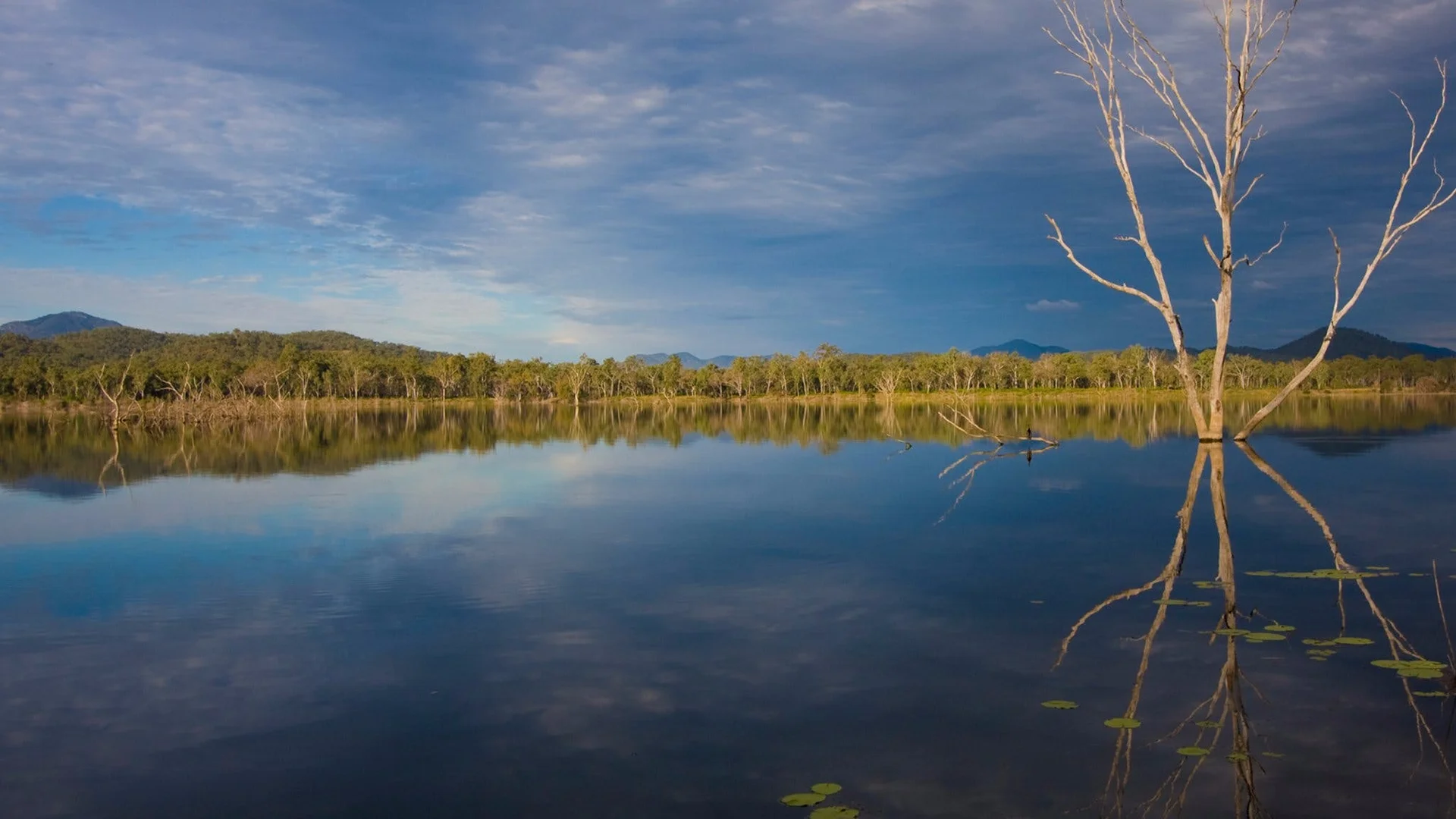 Additional image 36 of 235 Pikes Crossing Road, Benaraby QLD 4680