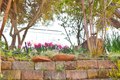 Additional image 78 of 126 Center St, Jackson, CA, 95642