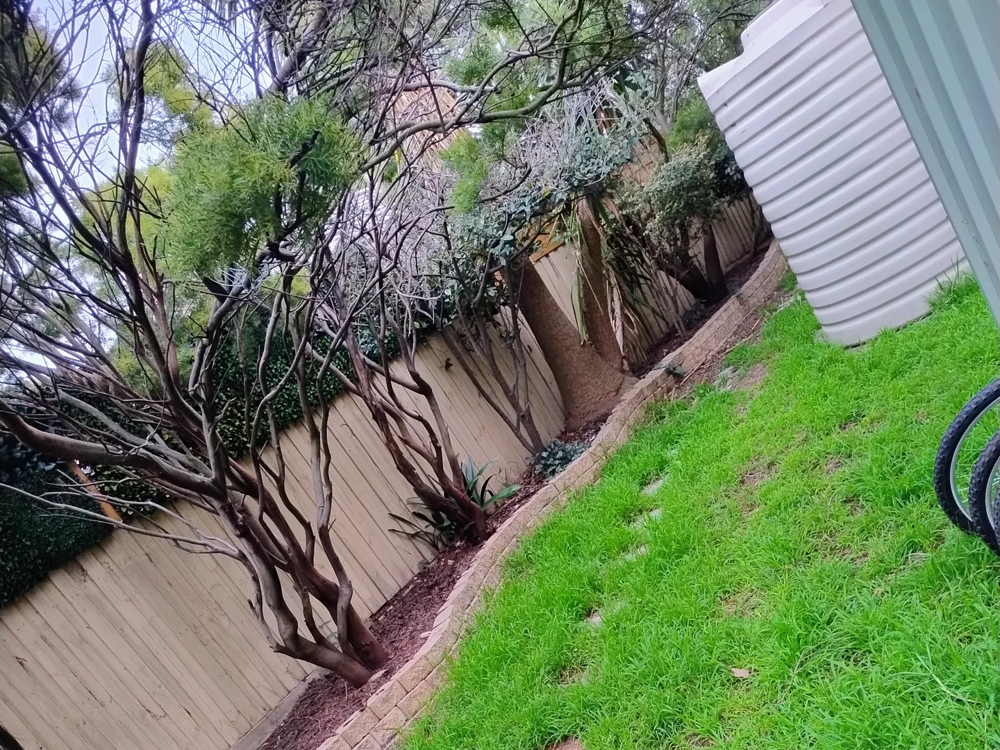 Additional image 8 of 33 Victory Street, Murrumbeena VIC 3163