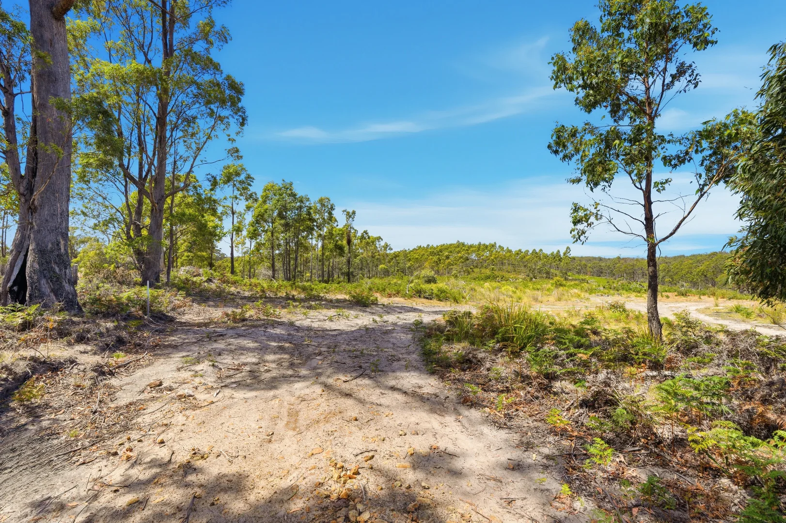 Additional image 3 of 422 Levendale Back Road, Levendale TAS 7120