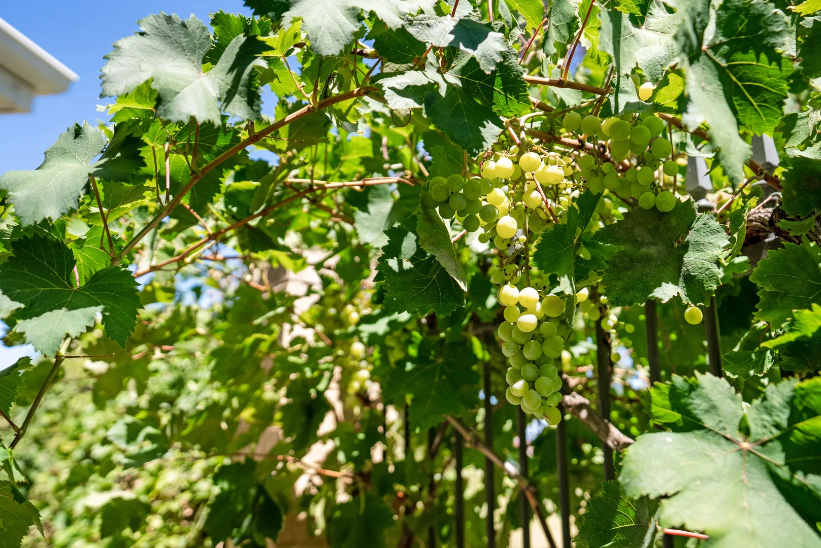 Additional image 16 of 1/30 Buttermere Approach, Waikiki WA 6169