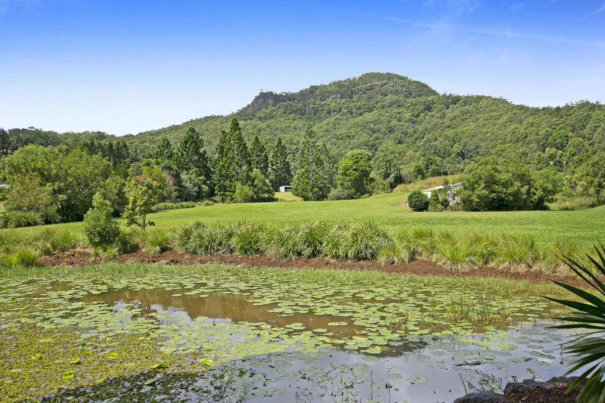 Additional image 16 of 1395 Tallebudgera Creek Road, Tallebudgera Valley QLD 4228