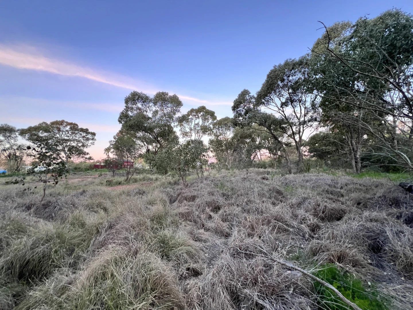 Additional image 5 of 25 Burril Street, Tomingley NSW 2869