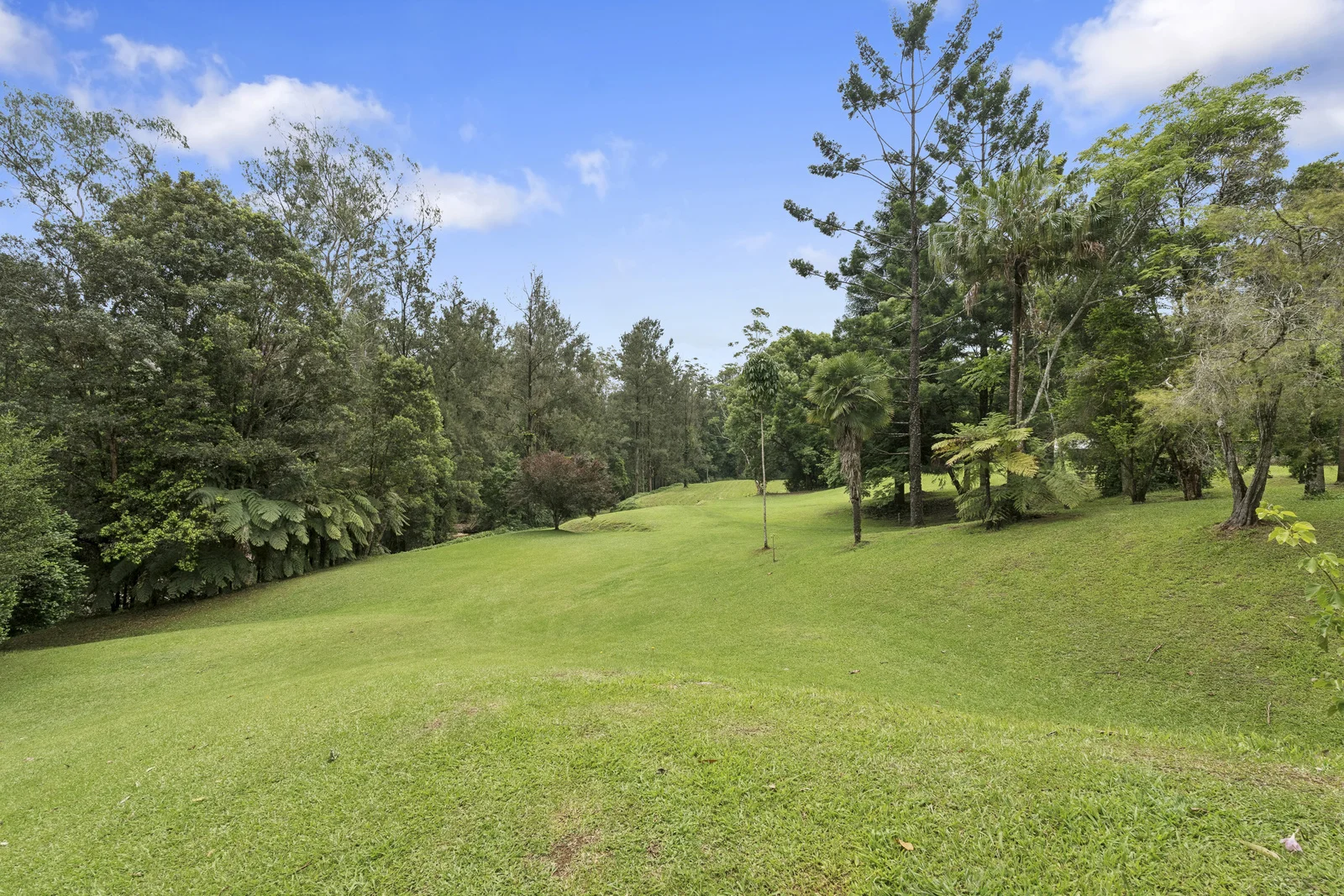 Additional image 19 of 1596 Kalang Road, Bellingen NSW 2454