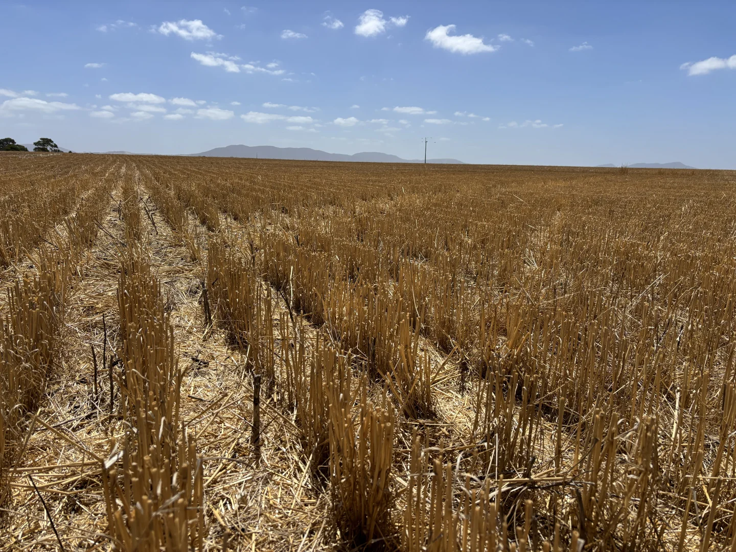 Additional image 13 of 205 Settlers Road, Wangary SA 5607