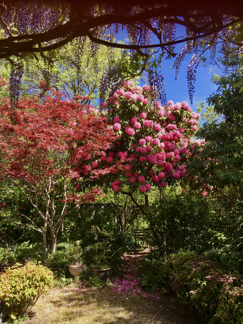 Additional image 22 of 4 Dunmore Street, Katoomba NSW 2780