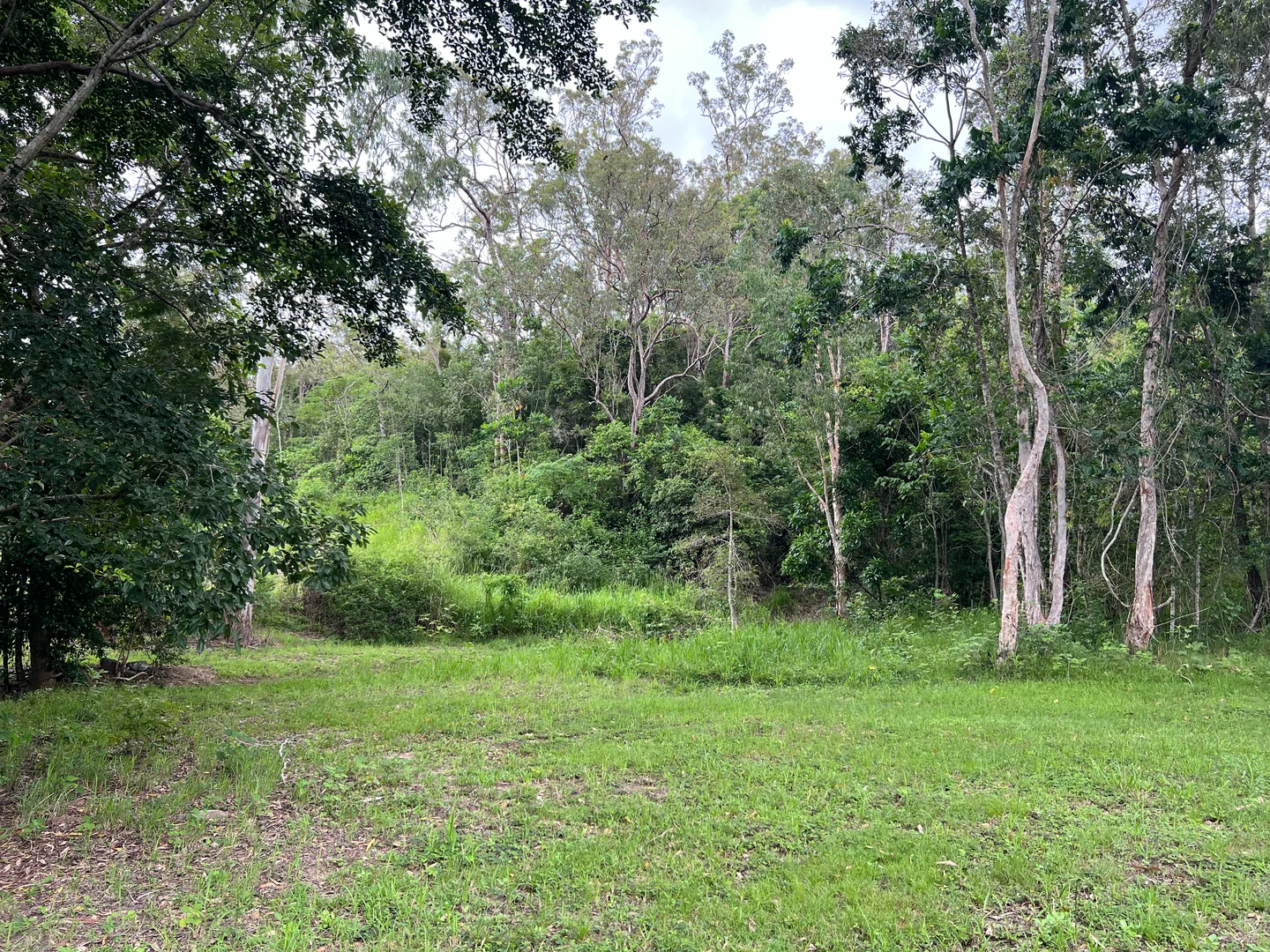 Additional image 30 of 297 Smith Cross Road, Devereux Creek QLD 4753