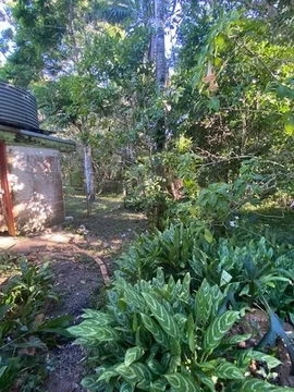 Additional image 13 of 258 Ganyan Drive, Speewah QLD 4881