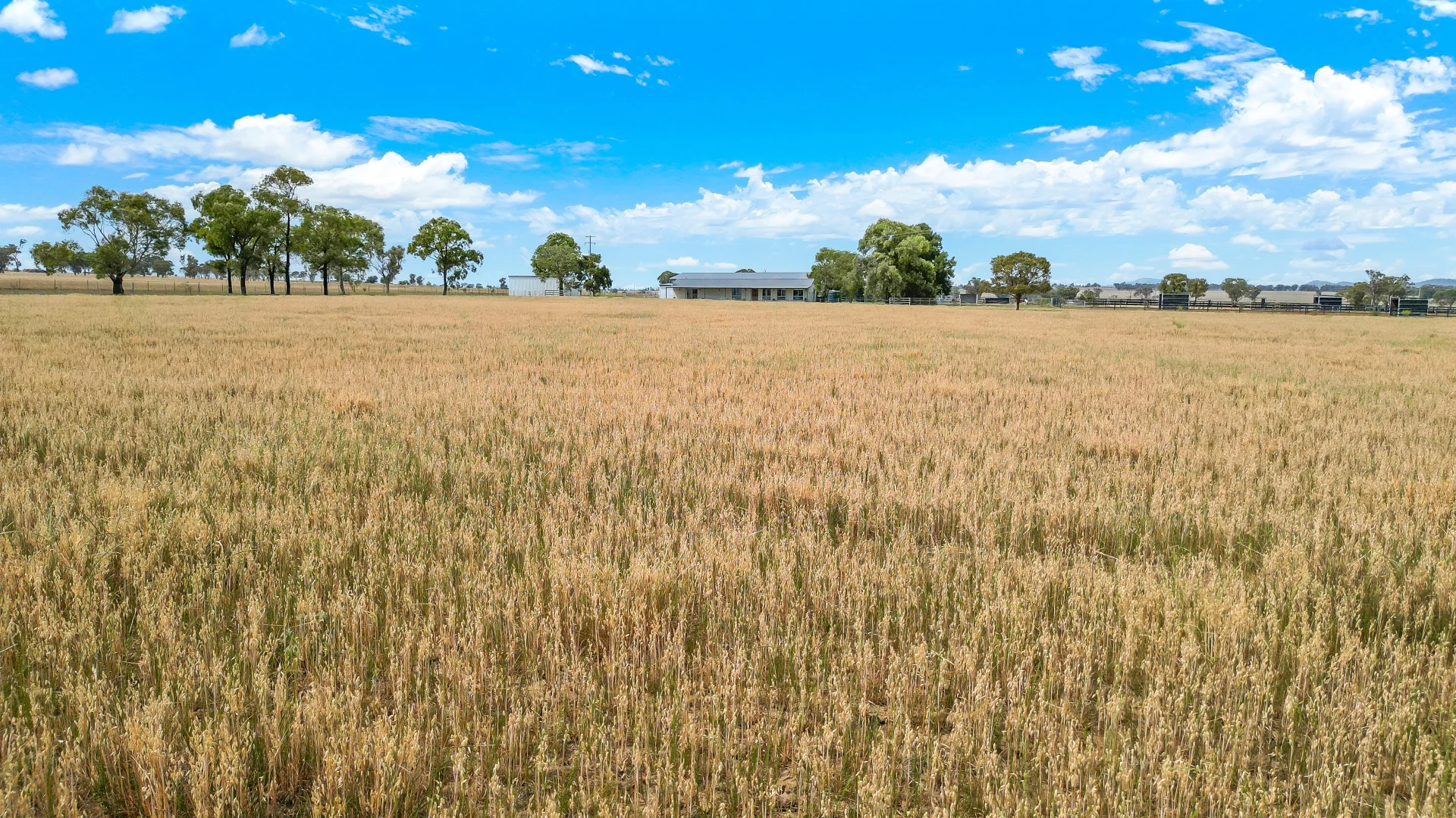 Additional image 12 of 337 New Winton Road, Tamworth NSW 2340