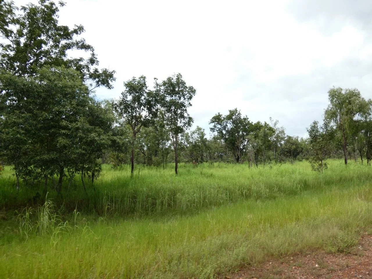 Additional image 6 of 2936 Litchfield Park Road, Charlotte NT 0822