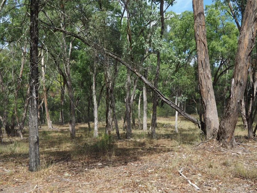 Additional image 14 of 288 Fairford Road, Warialda NSW 2402