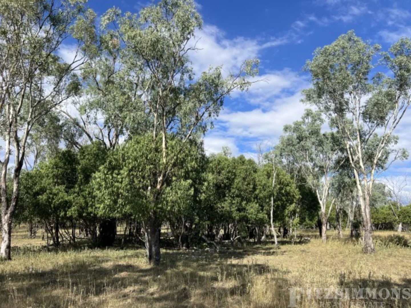 Additional image 15 of 80 Coolibah Way, Dalby QLD 4405