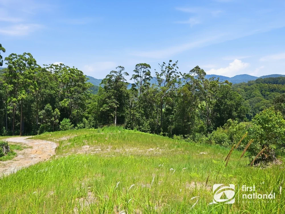 Additional image 8 of Lot 65 North Island Loop Road, Upper Orara NSW 2450