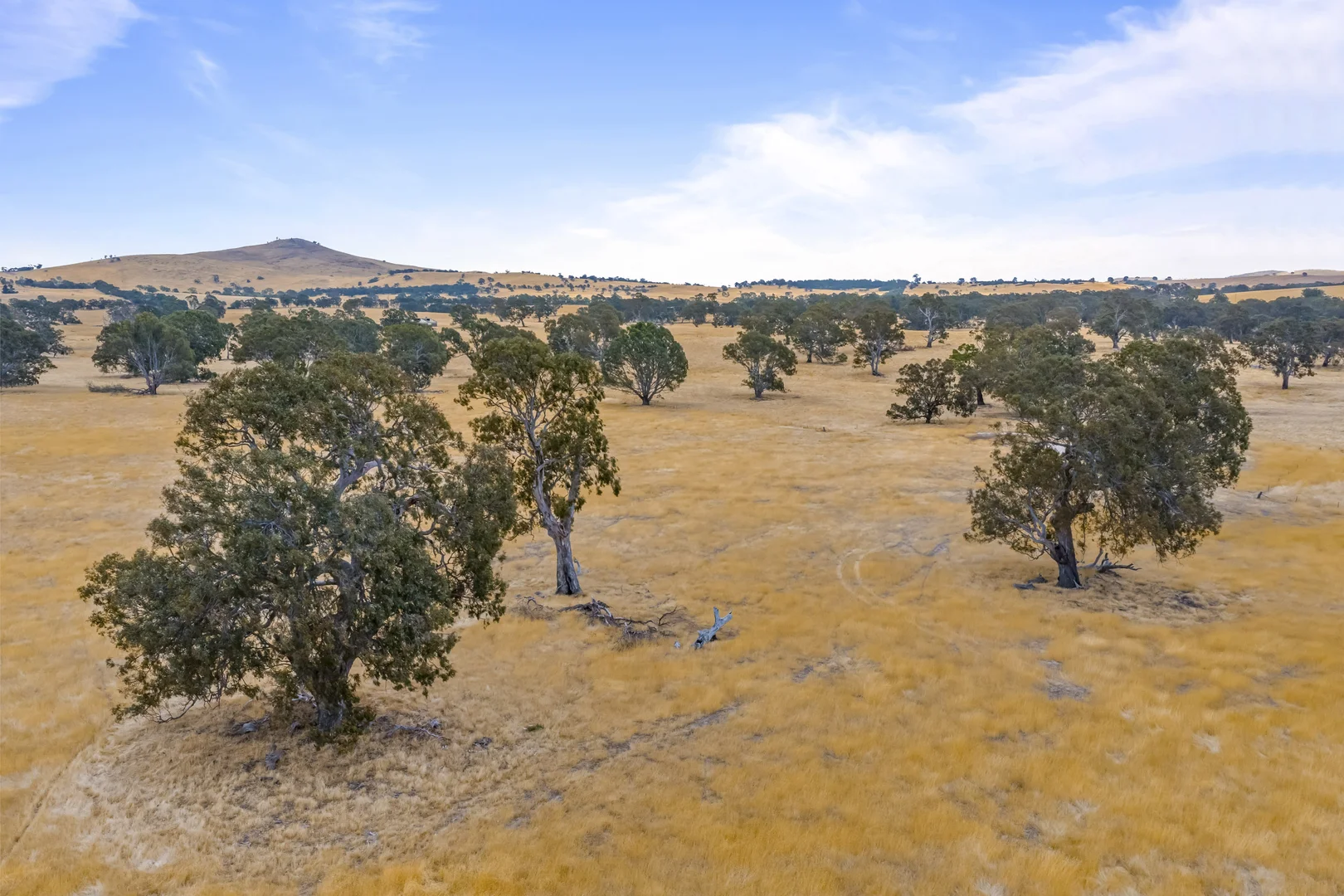 Additional image 19 of 339 Burrumbeep Road, Maroona VIC 3377