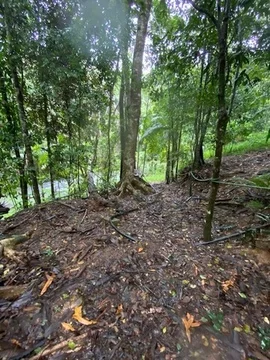 Additional image 24 of 258 Ganyan Drive, Speewah QLD 4881