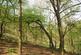 Additional image 7 of Elle Bank Wood, Hayfield, Derbyshire SK22