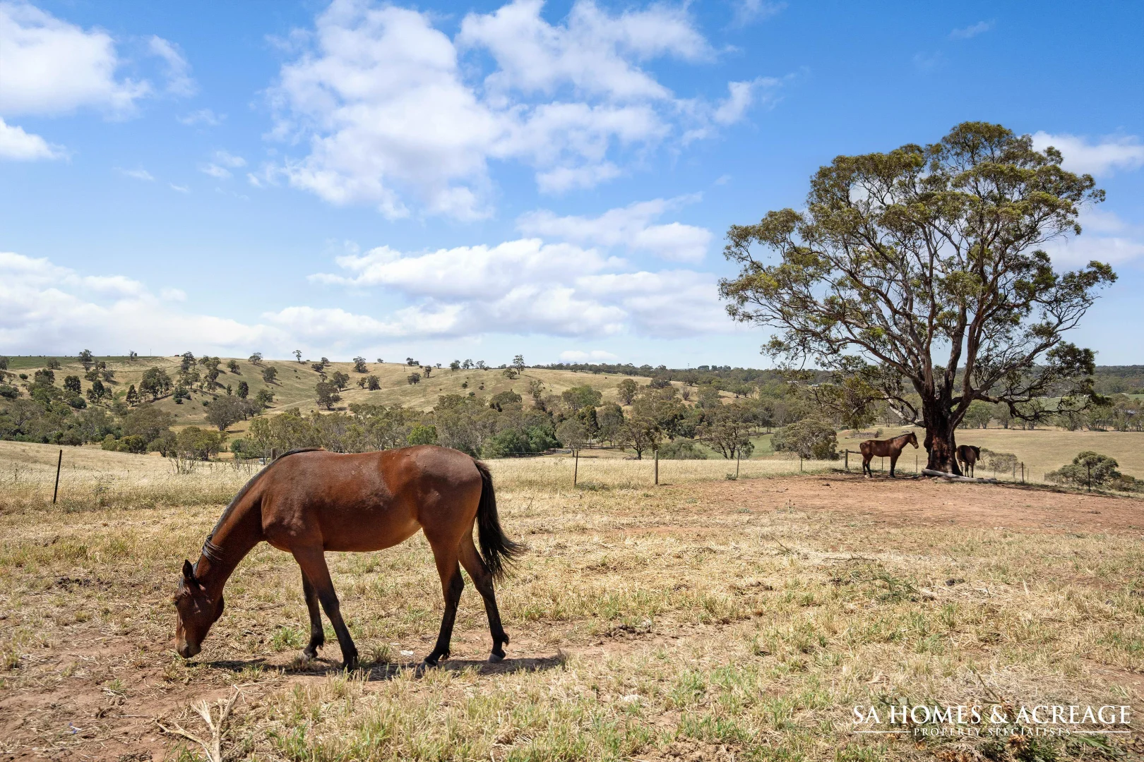 Additional image 30 of 186 Woodlands Road, Cockatoo Valley SA 5351