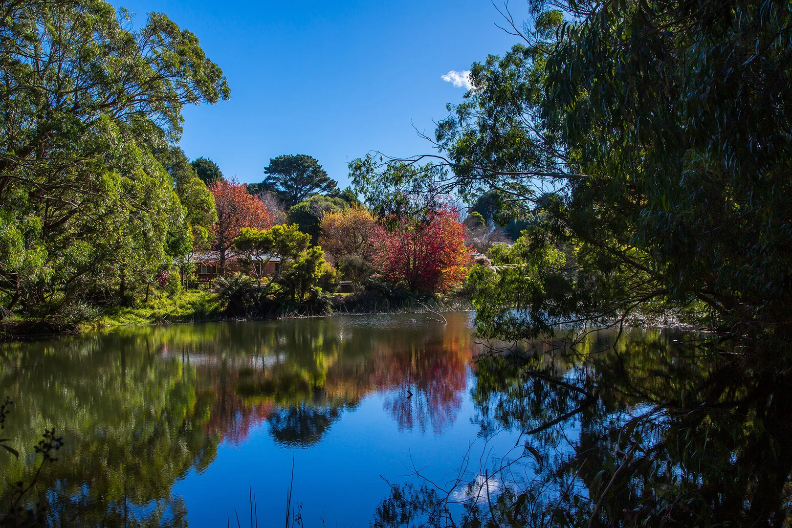 Additional image 4 of 41-43 May Street, Robertson NSW 2577