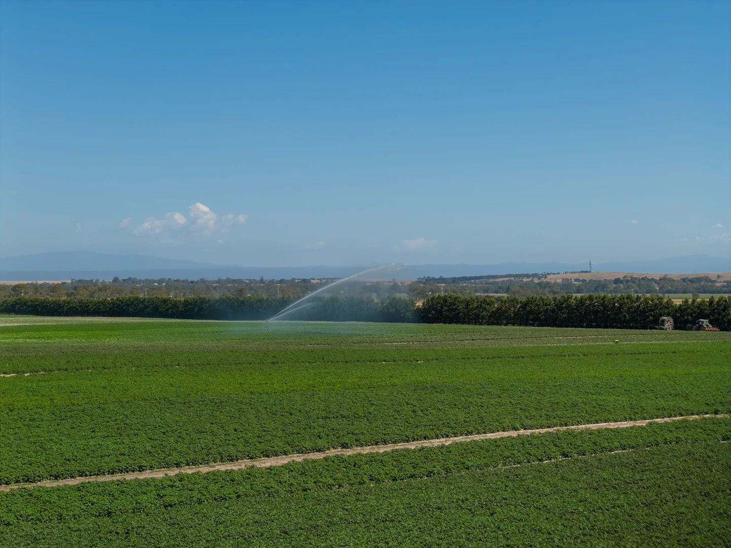 Additional image 7 of 494 Rosedale-Longford Road, Rosedale VIC 3847