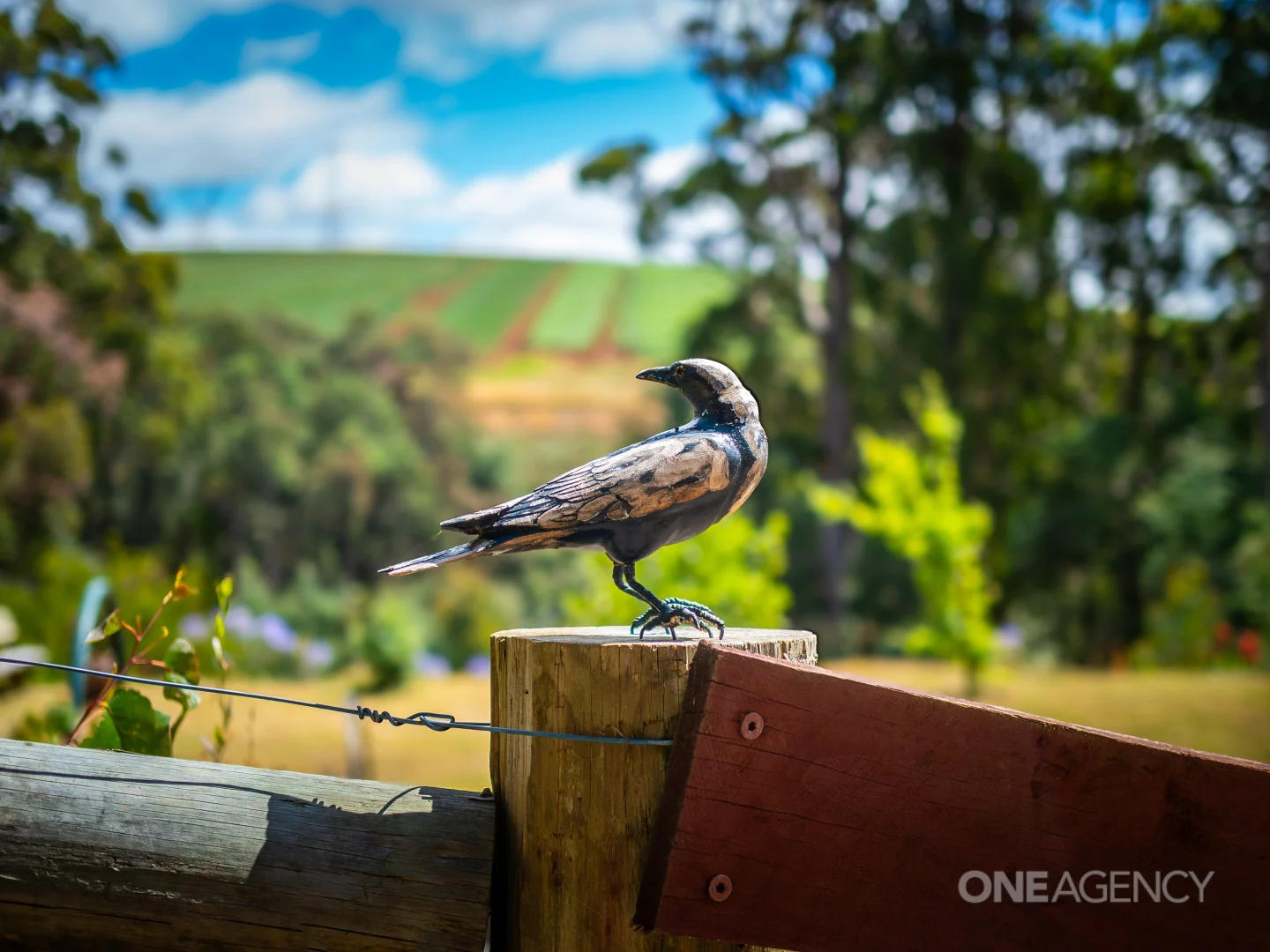 Additional image 25 of 38 Crawford Road, Penguin TAS 7316