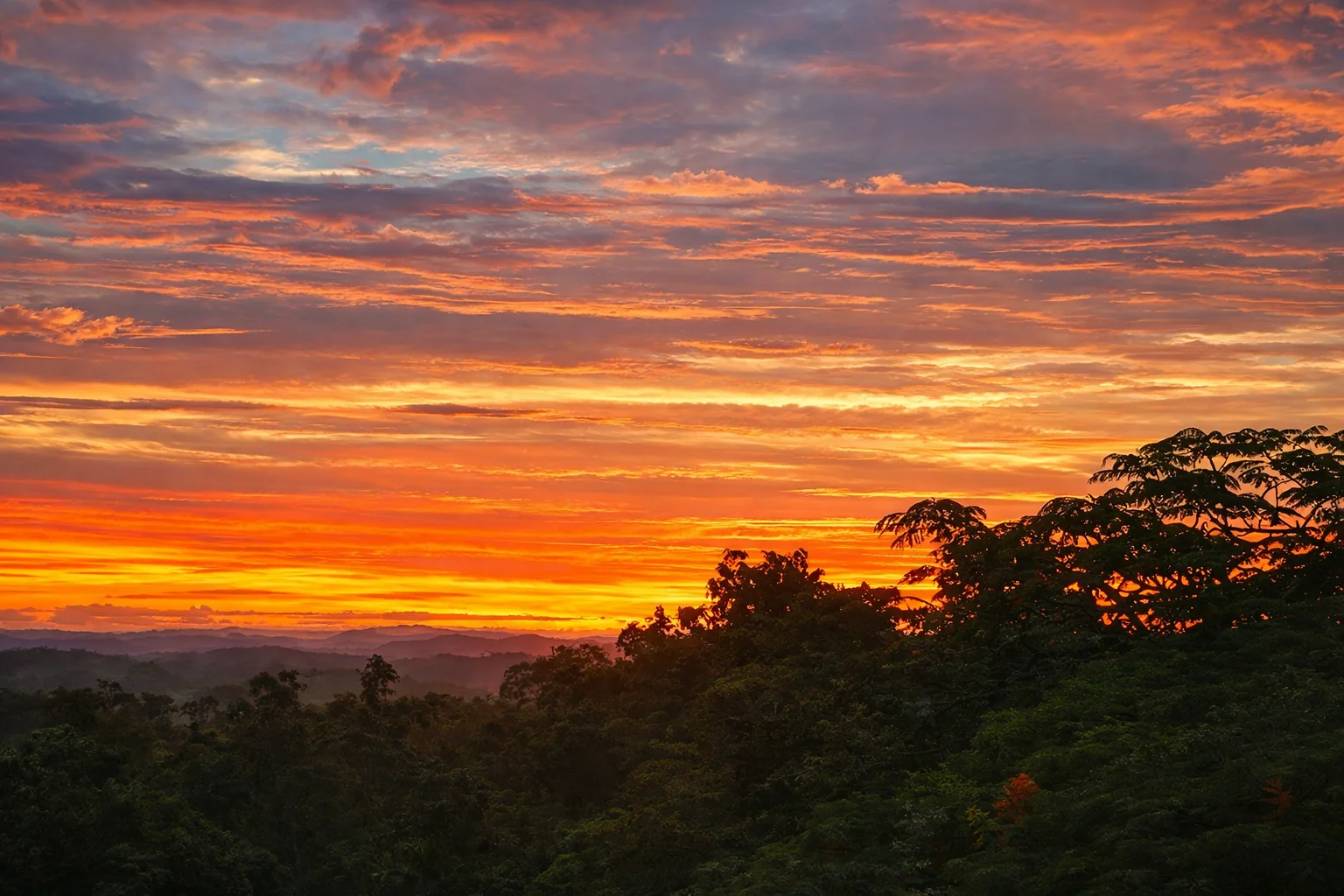 Additional image 16 of 205 Allen Road, Chatsworth QLD 4570