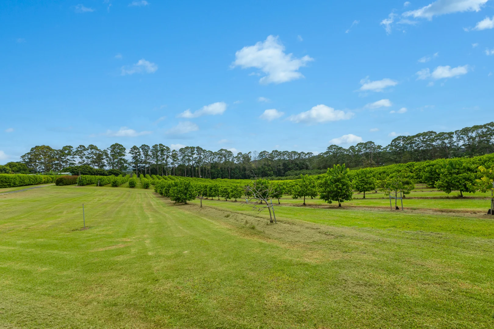 Additional image 15 of 657 Ellis Road, Rous NSW 2477