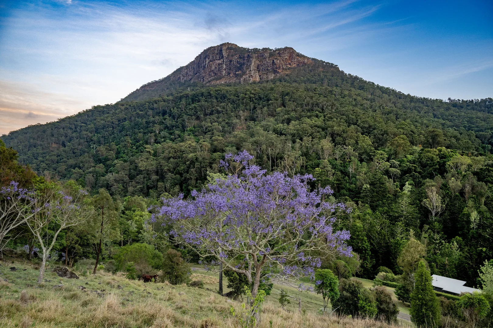 Additional image 35 of 3196 Christmas Creek Road, Lamington QLD 4285